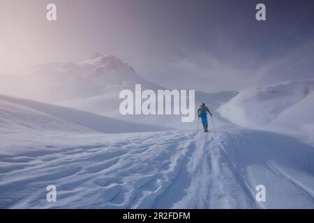 Sciatori sulle montagne del Kitzbüheler Alpen sulla salita a Tristkopf con nebbia mattutina Foto Stock