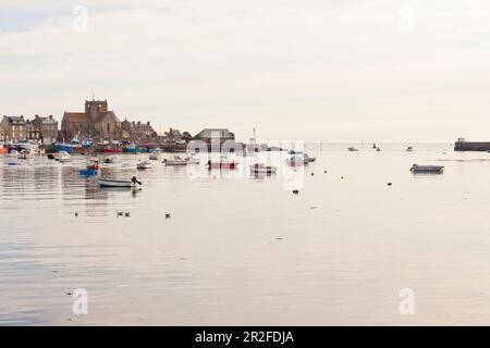 Mattina umore nel porto di Barfleur, Normandia, Francia. Barfleur è uno dei più bei villaggi di Francia. Foto Stock