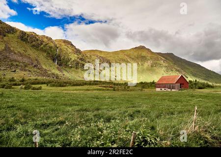 Escursione a Lofoten, Norvegia, Europa Foto Stock