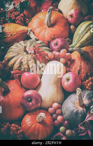 Sfondo autunnale con frutta e verdura di stagione, vista dall'alto, piatto. Felice concetto del Ringraziamento Foto Stock