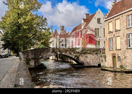 Vista sul Groenerei (sullo sfondo la Basilica del Sacro sangue), Bruegge, Belgio Foto Stock