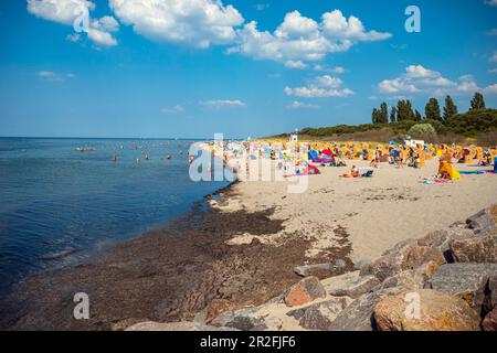 Spiaggia di Timmendorf sull'isola di Poel vicino a Wismar, Meclemburgo-Pomerania occidentale, Germania Foto Stock