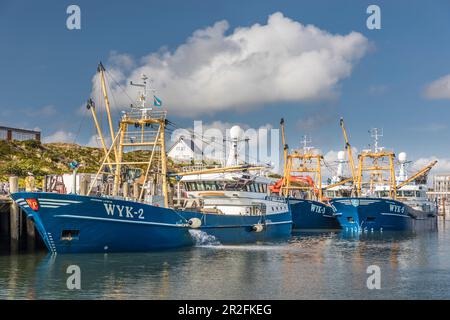 Peschereccio da traino nel porto di Hörnum, Sylt, Schleswig-Holstein, Germania Foto Stock