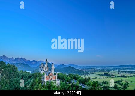 Castello di Neuschwanstein all'ora blu, Tannheimer Berge sullo sfondo, Neuschwanstein, alta Baviera, Baviera, Germania Foto Stock