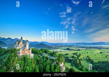 Castello di Neuschwanstein all'ora blu, Tannheimer Berge sullo sfondo, Neuschwanstein, alta Baviera, Baviera, Germania Foto Stock