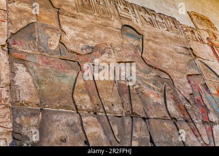 Horus offre l'ankh al re Seti i, il grande tempio di Abydos, Egitto Foto Stock