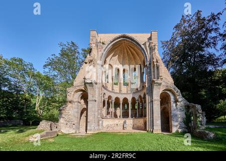 Ruin monastero Heisterbach al sole della sera, Koenigswinter / Reno, Germania Foto Stock