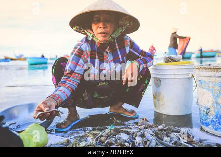 MUI ne, Vietnam - 22 gennaio 2019 : il venditore locale sta raccogliendo pesci e conchiglie nel famoso villaggio di pescatori di Mui ne, Vietnam Foto Stock