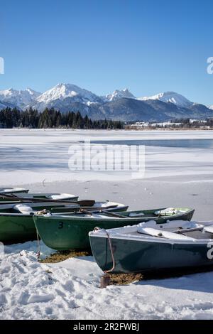 Barche sulle rive del congelato Hopfensee in inverno, Hopfen am See, Füssen, Ostallgäu, Baviera, Germania Foto Stock