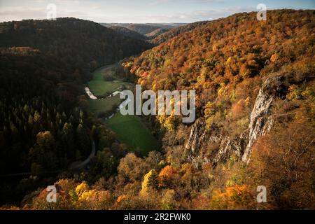 Vista del corso tortuoso del fiume "Lauter" in autunno, Grosses Lautertal vicino Ehingen an der Donau, zona della biosfera delle Alpi Svevi, Bade Foto Stock