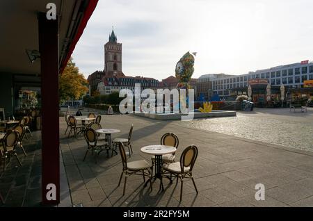 Brunnenplatz, Marienkirche, Francoforte / Oder, Stato di Brandeburgo, Germania Foto Stock