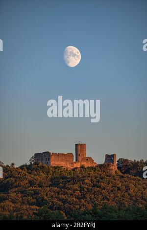 La luna che sorge sulle rovine di Wolfstein vicino Neumarkt nel Palatinato superiore, Baviera, Germania, Europa Foto Stock