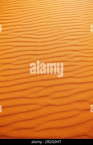 Primo piano grafico di sabbia spazzata dal vento; Coral Pink Sand Dunes state Park; Utah; USA Foto Stock