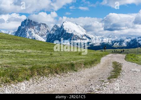 Sentiero escursionistico a Puflatsch sull'Alpe di Siusi in Alto Adige Foto Stock