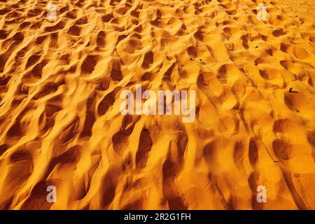 Primo piano grafico di sabbia spazzata dal vento; Coral Pink Sand Dunes state Park; Utah; USA Foto Stock