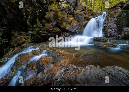 Presso le cascate di Rissloch vicino a Bodenmais, la Foresta Bavarese, Baviera, Germania Foto Stock