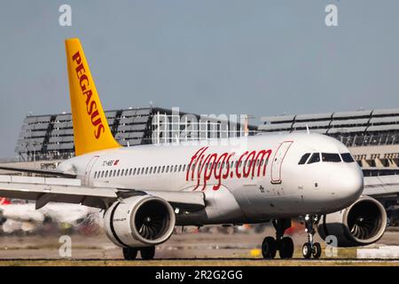 Airbus A320neo di Pegasus Airlines che atterra all'aeroporto, terminal, Stoccarda, Baden-Wuerttemberg, Germania Foto Stock