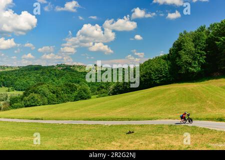Un ciclista spinge la bici da turismo a pieno carico su una strada estremamente ripida vicino a Rogatec, Slovenia Foto Stock