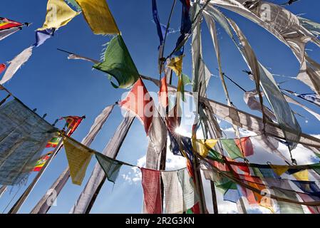 Sul passo di Pele la tra Punakha e Trongsa. Migliaia di bandiere di preghiera accolgono il viaggiatore. Foto Stock