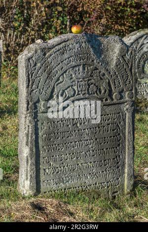 Simboli su una lapide ebraica, storico cimitero ebraico, questo luogo di sepoltura è stato occupato dal 1737 al 1934, Hagenbach, alta Franconia, Baviera Foto Stock