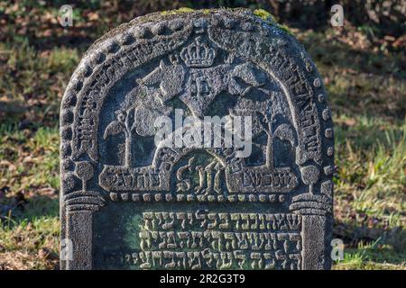 Simboli ebraici su una lapide, storico cimitero ebraico, questo luogo di sepoltura è stato occupato dal 1737 al 1934, Hagenbach, alta Franconia, Baviera Foto Stock