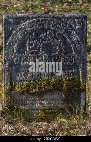 Simboli ebraici su una lapide, storico cimitero ebraico, questo luogo di sepoltura è stato occupato dal 1737 al 1934, Hagenbach, alta Franconia, Baviera Foto Stock