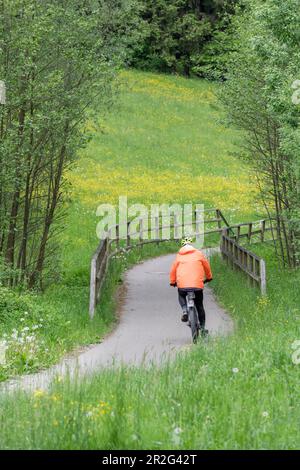 Ciclisti che percorrono una pista ciclabile attraverso un prato in una foresta con un ponte, Baden-Wuerttemberg, Germania Foto Stock