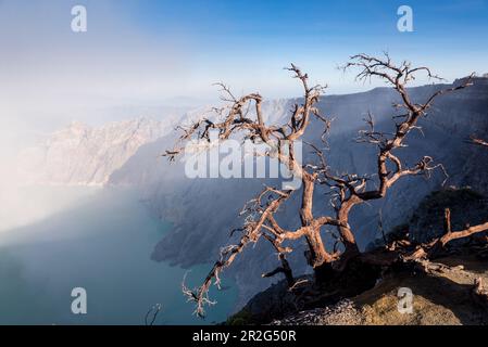 Si sta raccogliendo un forte vapore di zolfo sul vulcano Kawah Ijen, sull'isola di Giava, sull'Indonesia, sull'Asia sudorientale e sull'Asia Foto Stock