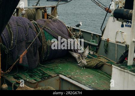 Attrezzatura per reti da pesca su una barca. Foto di alta qualità Foto Stock