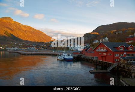 Nave nel porto di Oernes, provincia del Nordland, distretto di Salten, costa di Helgeland, Norvegia, Europa Foto Stock