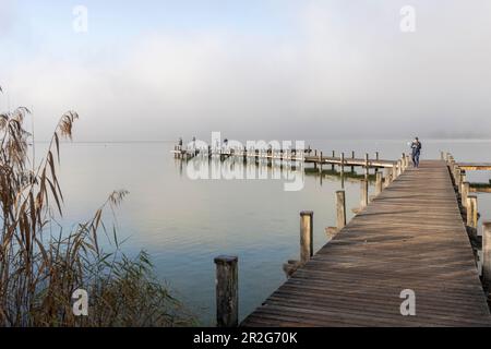 Vista mattutina del molo sul lago di Starnberg sulla spiaggia di Perca, Starnberg, Baviera, Germania. Foto Stock