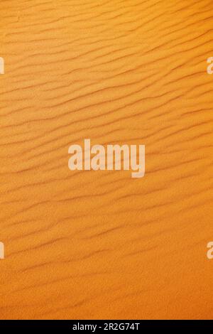 Primo piano grafico di sabbia spazzata dal vento; Coral Pink Sand Dunes state Park; Utah; USA Foto Stock