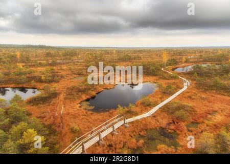 Lago di palude, colori autunnali Sandra, Viljandi, Estonia. riflessione nell'acqua. asse di legno percorso. Foto Stock