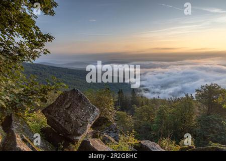 Vista dal monte Kalbe, Hoher Meissner su copertura nuvolosa, foresta, alba. Assia Germania. massi in primo piano. Foto Stock