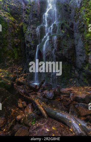 Cascata Burgbach, Bad Rippoldsau-Schapbach, Baden-Würtenberg, Germania, Foresta Nera. Ceppo di albero in primo piano. Foto Stock