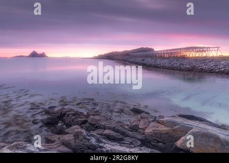 Costa rocciosa a Fjaervollsanden spiaggia. Rack per pesci secchi, tramonto, Gimstad, Nordland, Norvegia. Foto Stock