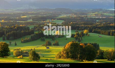 Vista dall'Auerberg sulle splendide colline autunnali delle Alpi di Allgäu, Baviera, Germania, Europa Foto Stock