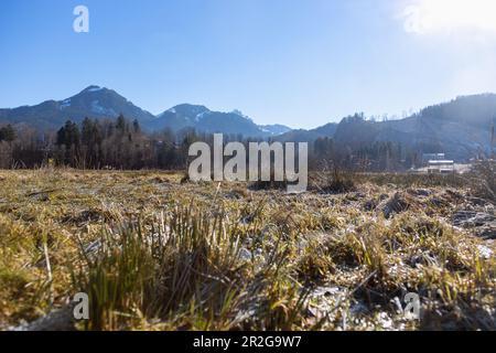 Leitzachtal nei pressi di Fischbachau con vista su un prato ghiacciato fino ai monti Breitenstein e Schweinsberg, alta Baviera Foto Stock