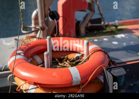 Primo piano di una salvagente arancione su una barca da pesca nello Strom Alter a Warnemünde. Foto Stock