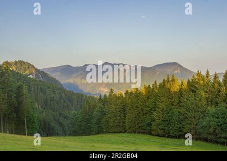 Vista del Hochries al mattino. Aschau im Chiemgau, Alpi del Chiemgau, alta Baviera, Baviera, Germania, Europa Foto Stock