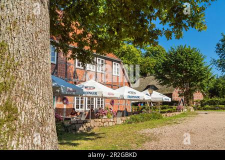 Gasthaus Zum Heidemuseum nella brughiera di Lüneburg, Wilsede, Bispingen, bassa Sassonia, Germania Foto Stock