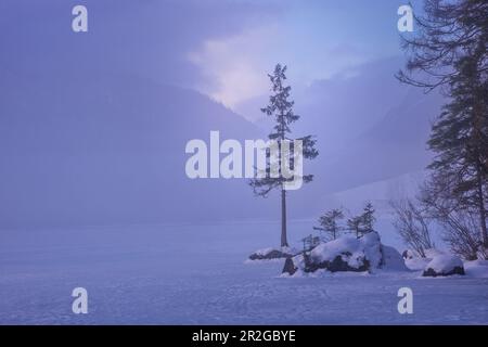 Vista del congelato Hintersee nel Berchtesgadener Land, Baviera, Germania Foto Stock