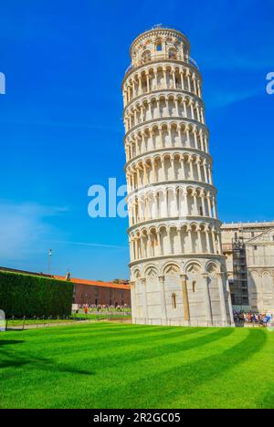Torre Pendente, Pisa, Toscana, Italia, Foto Stock
