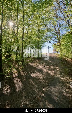 Il sole della sorgente splende attraverso gli alberi; il sentiero conduce alla croce, Bad Honnef, NRW, Germania Foto Stock