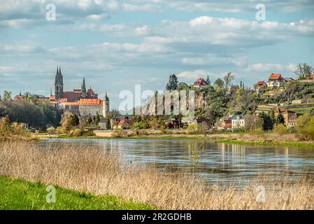 Vista di Meissen vista dall'Elberadweg tra Dresda e Meissen sulla riva sinistra dell'Elba, Sassonia, Germania Foto Stock