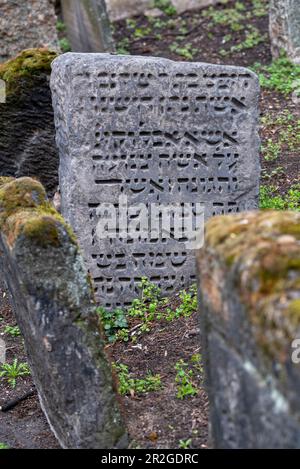 Lapideo con iscrizione ebraica, antico cimitero ebraico, Museo ebraico, Josefstadt, Praga, Repubblica Ceca Foto Stock