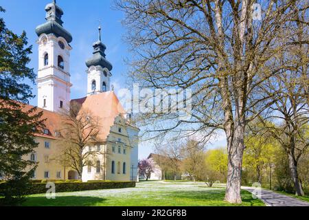 Doppie pieghe; ex monastero benedettino e minster di nostra Signora, chiesa del monastero, nel Giura svevo, Baden-Württemberg, Germania Foto Stock