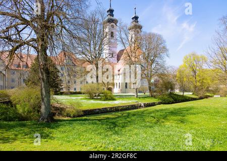 Doppie pieghe; ex monastero benedettino e minster di nostra Signora, chiesa del monastero, nel Giura svevo, Baden-Württemberg, Germania Foto Stock