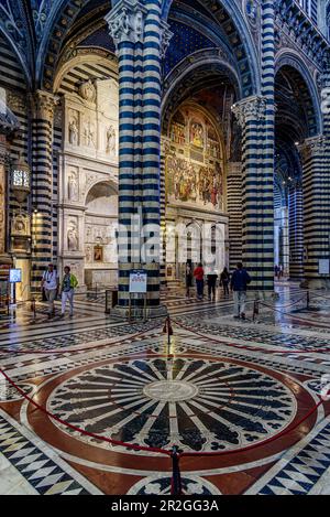 Cattedrale di Santa Maria Assunta dall'interno, Siena, Toscana, Italia, Europa Foto Stock