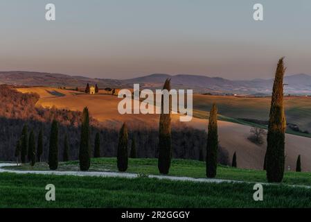 La Cappella della Madonna di Vitaleta, Paesaggio nei pressi di Pienza, Val d'Orcia, Provincia di Siena, Toscana, Italia, Patrimonio Mondiale dell'UNESCO, Europa Foto Stock